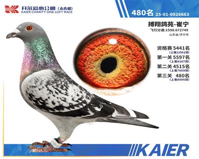 26�꿪��С�������480��