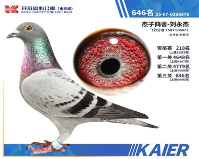 26�꿪��С�������646��