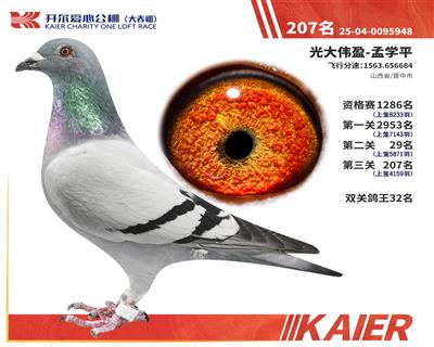 26�꿪���������207��