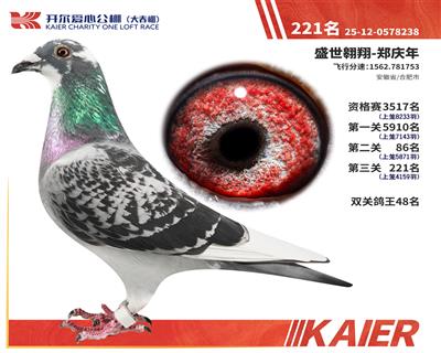 26�꿪���������221��
