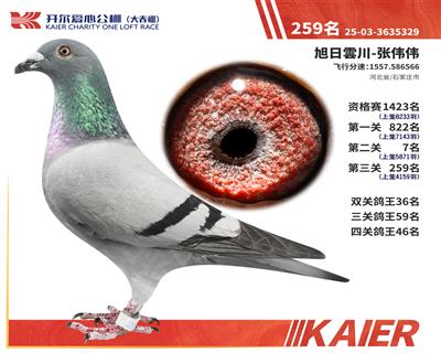 26�꿪���������259��