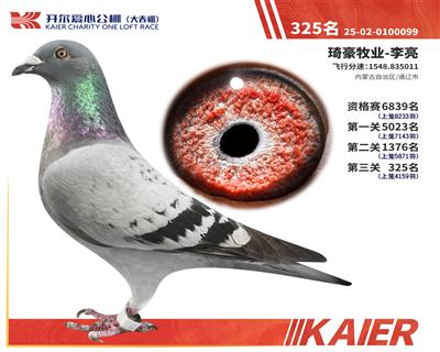 26�꿪���������325��