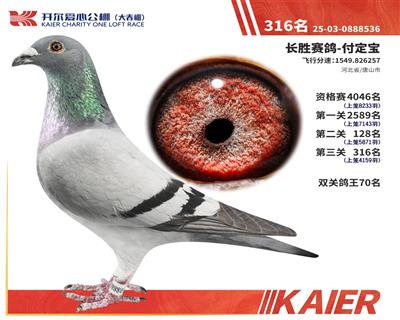 26�꿪���������316��