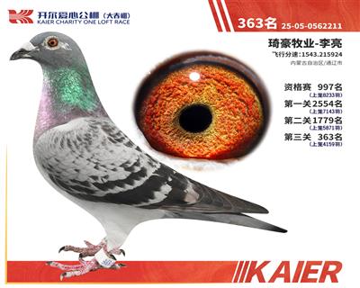 26�꿪���������363��