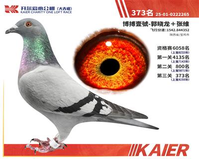26�꿪���������373��