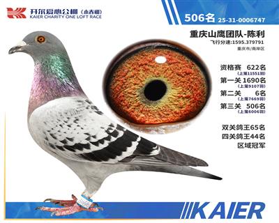26�꿪��С��������ھ�������506��