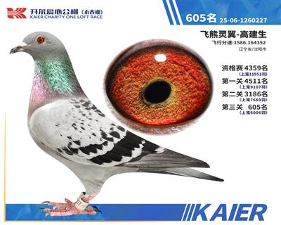 26�꿪��С�������605��