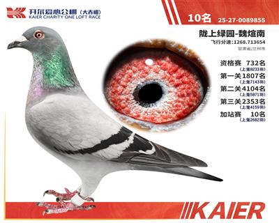26�꿪�������վ��10��
