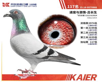 26�꿪�������վ��117��