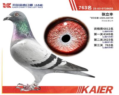 26�꿪���������763��
