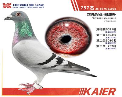26�꿪���������757��