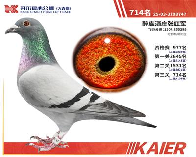 26�꿪���������714��