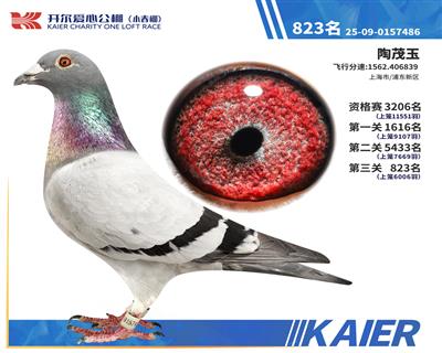 26�꿪��С�������823��