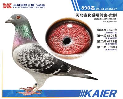 26�꿪��С�������890��