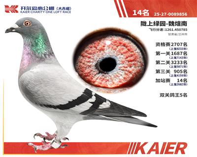 26�꿪�������վ��14����˫�ظ���5