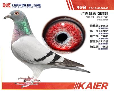 26�꿪�������վ��46��