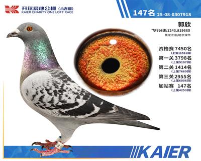 26�꿪��С�����վ��147��