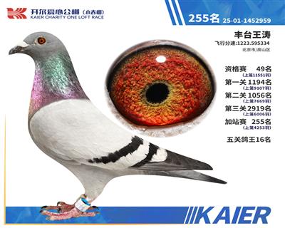 26�꿪��С������ظ���16����վ255