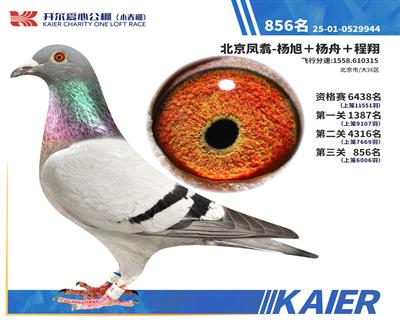 26�꿪��С�������856��