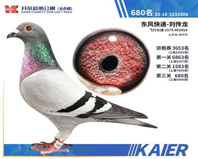 26�꿪��С�������680��