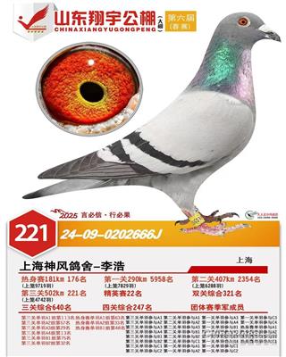 �������221��