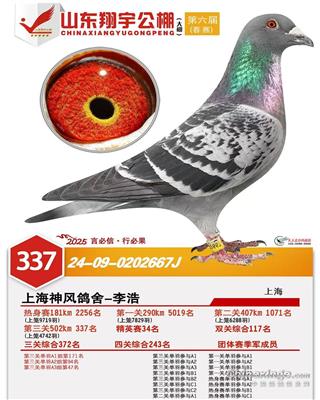 �������337��