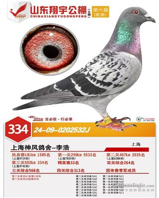 �������334��