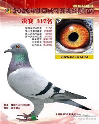 26�괺�����������317��