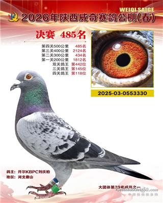 26�괺�����������485��