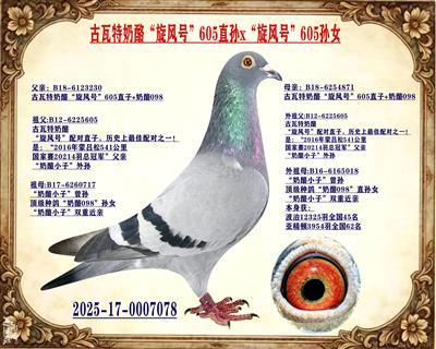 ���������ҡ�����š�605��x605��Ů