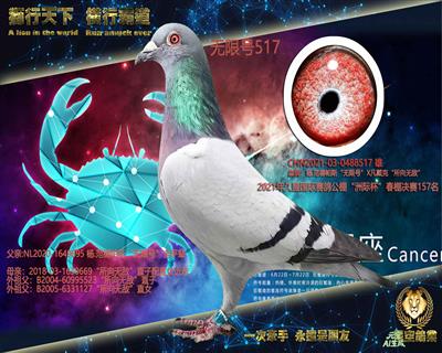 ���޺�517