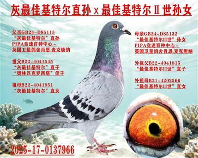 ����ѻ��ض�ֱ��x��ѻ��ض�II����Ů