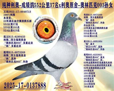 ��������-�ɼ���x����ƥ��003��Ů
