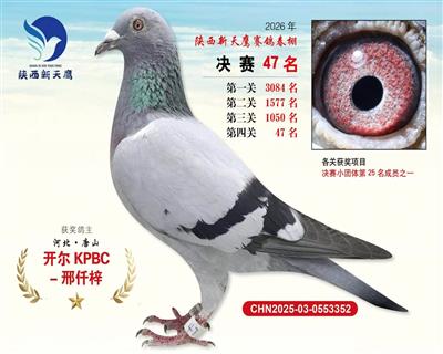 26�괺��������ӥ����47��