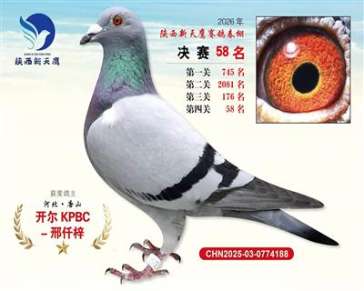 26�괺��������ӥ����58��