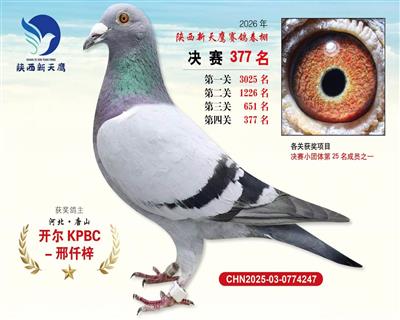 26�괺��������ӥ����377��