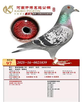 ���Ͽ������빫���վ��97��