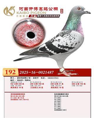 ���Ͽ������빫�����192��