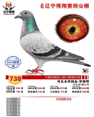 ����738