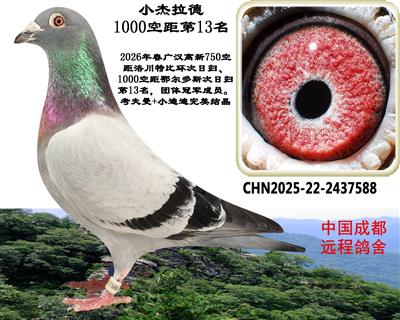 1000�վ���չ�13��