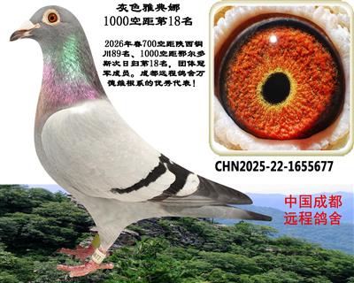 1000�վ���չ�18��