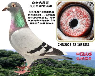 1000�վ�26��