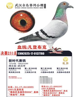 古瓦特奶酪“旋风号”605孙x605孙女 图片6