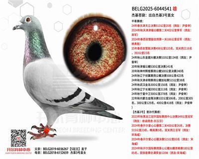 �ܻ����磺���Խܻ�3��ֱŮ
