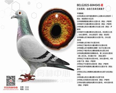 �����ٷ磺�����������ֵ�ֱ��