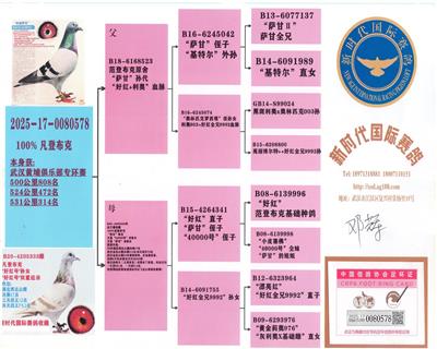 凡登布克 图片2