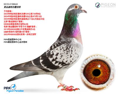 ��ѻ��ض�ֱŮ-�ƽ��