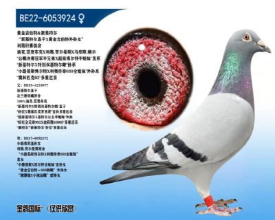 �ƽ𼪲���-�����ض�