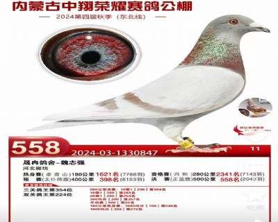 ��ҫ558