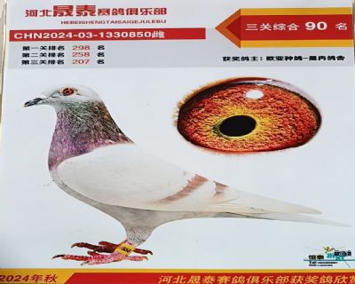 ��̩850